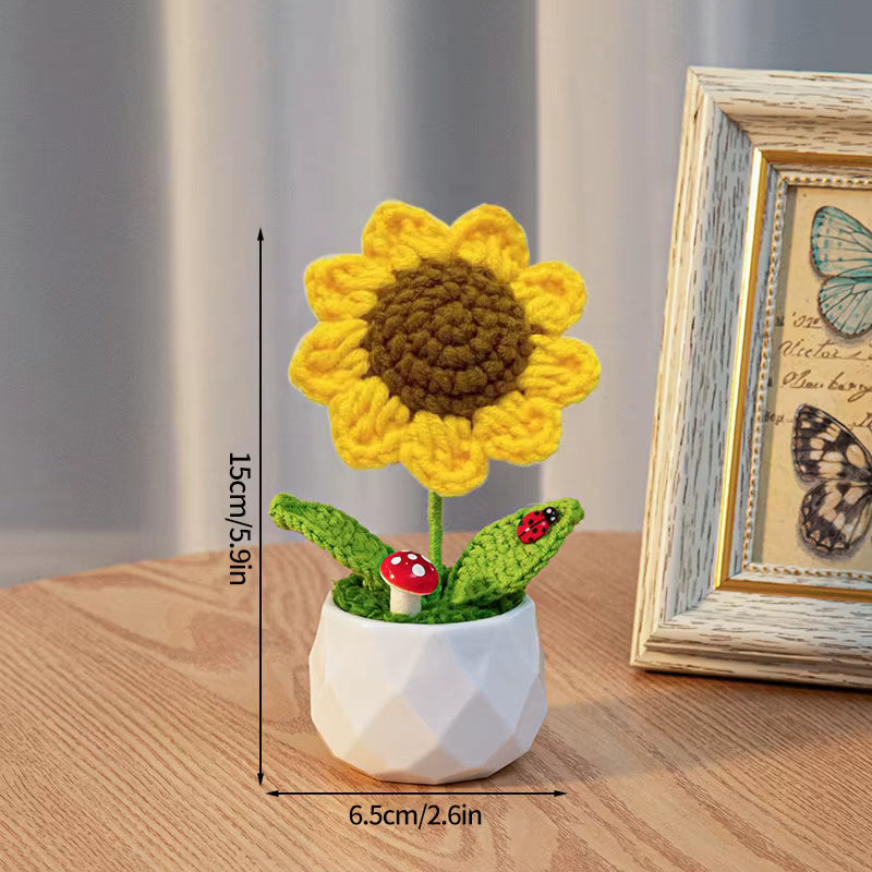 Plante en pot en crochet marguerite