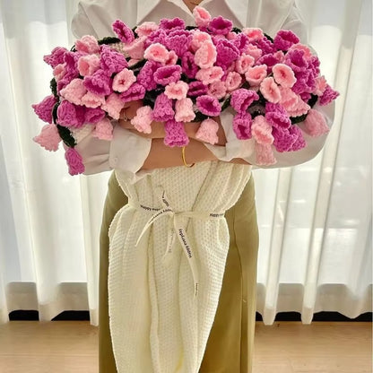 NOMAD Duo Jacinthes roses